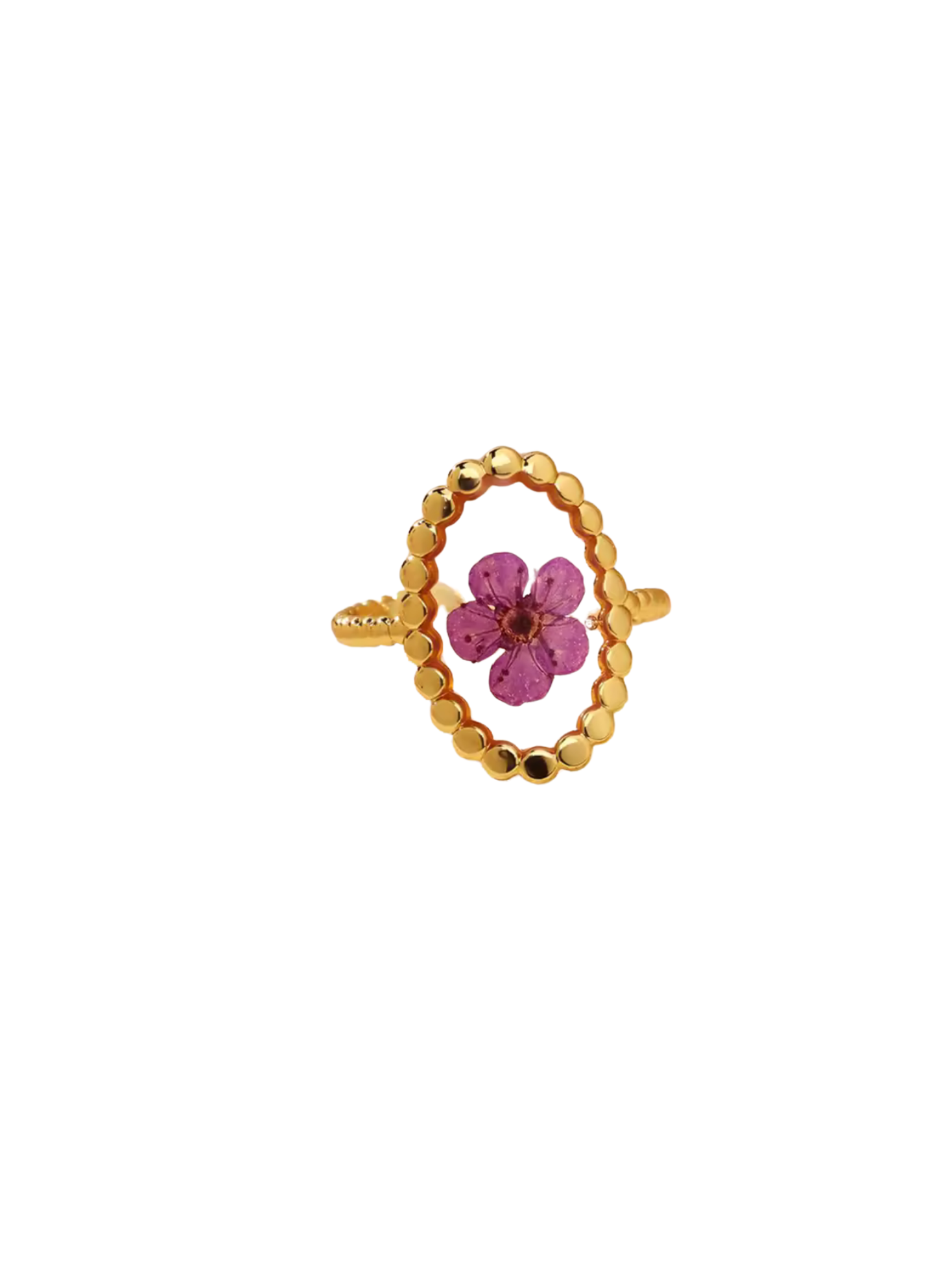 Golden Garden Ring