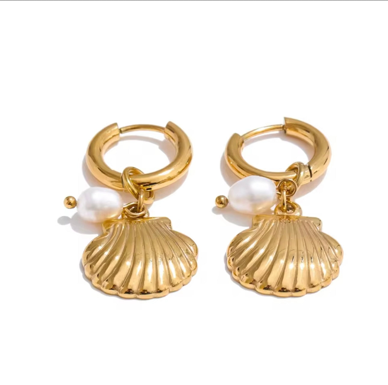 Shell Earrings