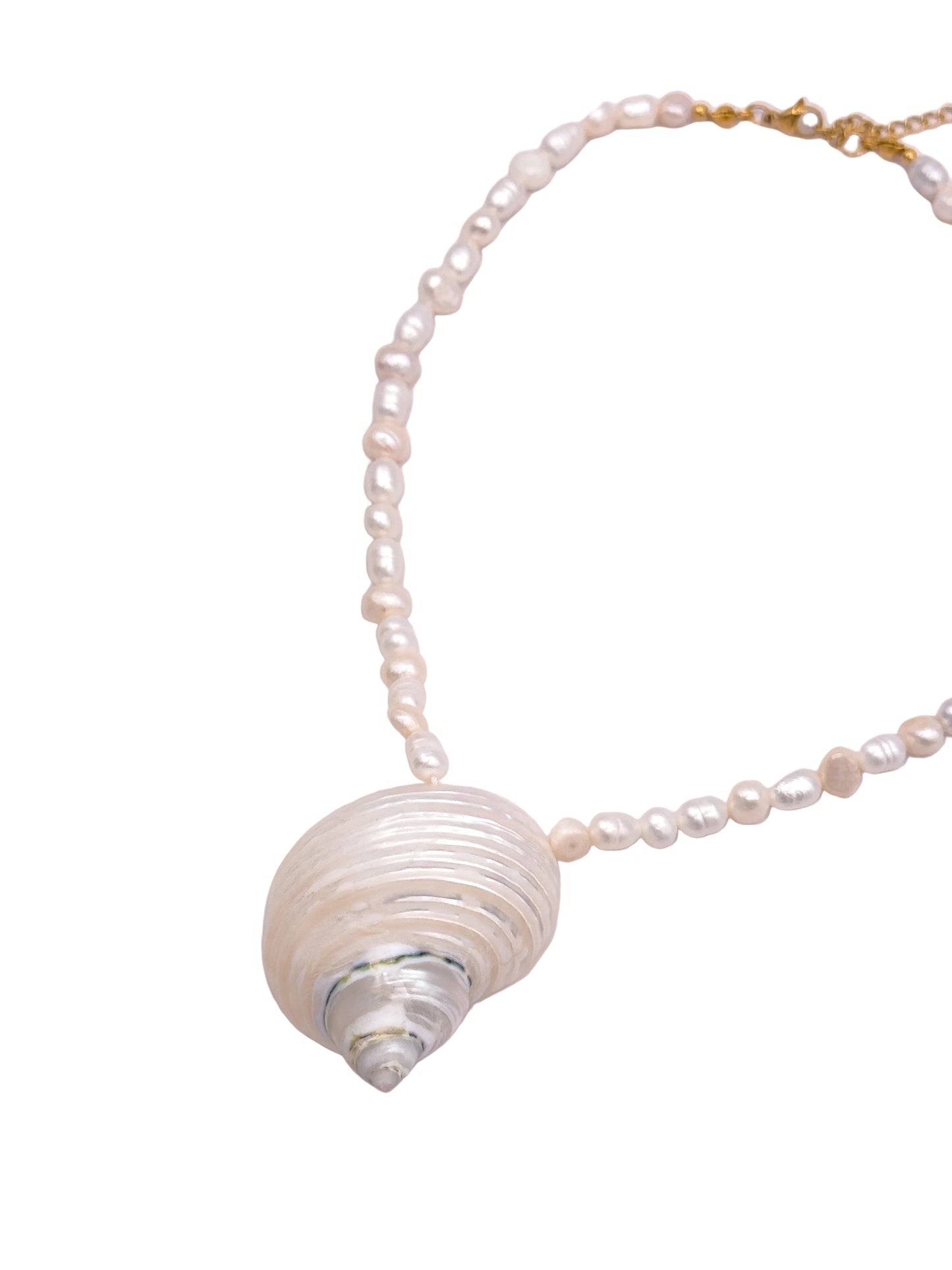 Mermaid Vibes Shell Necklace