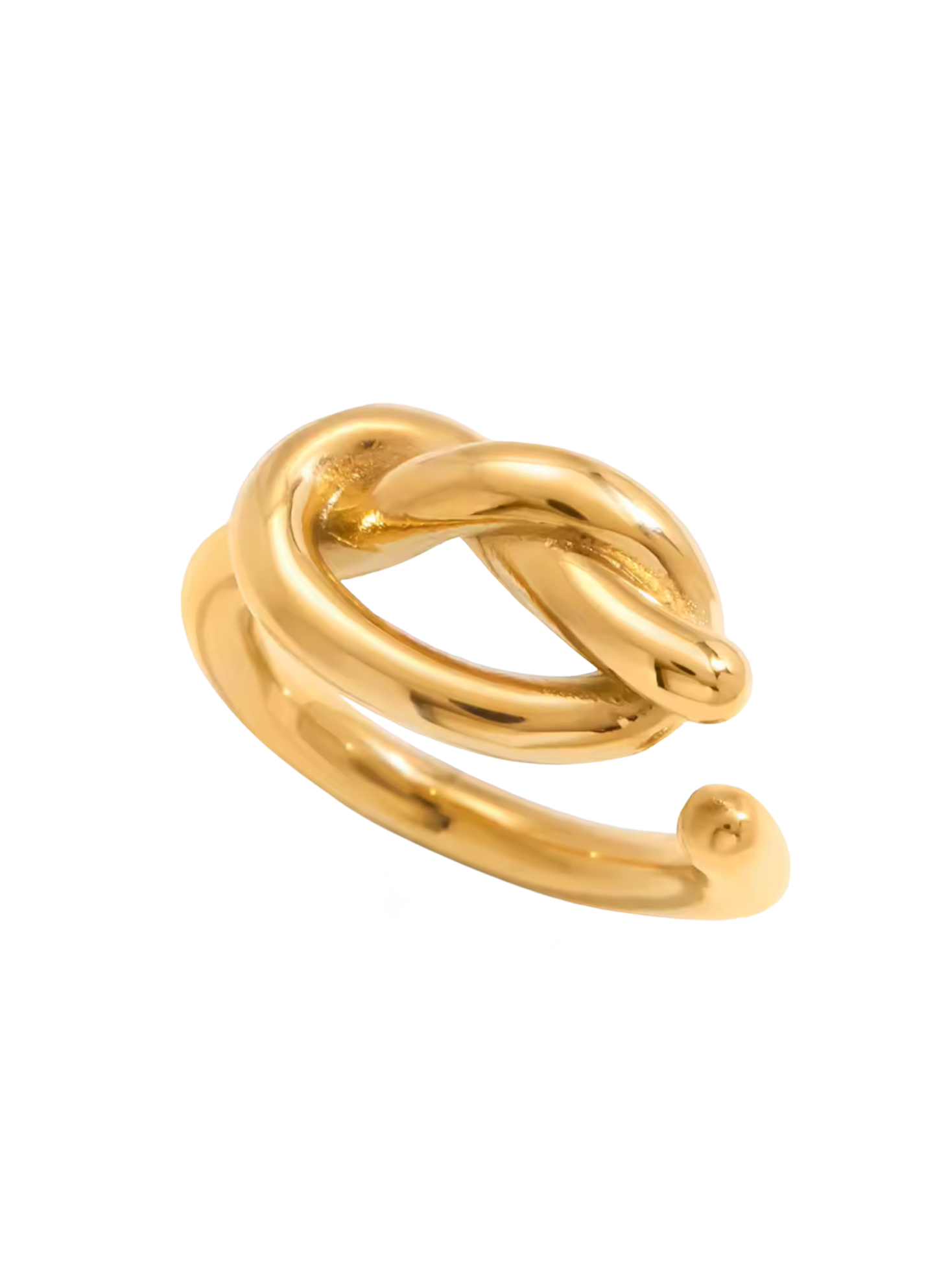 Eternal Loop Ring